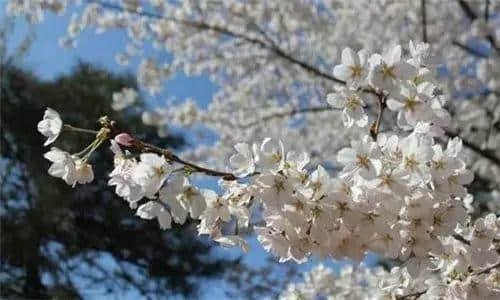 廣州地名套路，你行過(guò)幾多條？