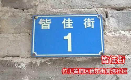 佛山新機(jī)場或命名為“珠西機(jī)場”？邊個(gè)起名咁“豬閪”！