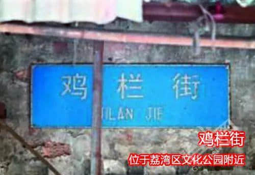 佛山新機(jī)場或命名為“珠西機(jī)場”？邊個(gè)起名咁“豬閪”！