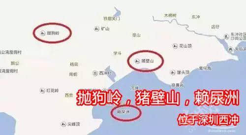 佛山新機(jī)場或命名為“珠西機(jī)場”？邊個(gè)起名咁“豬閪”！
