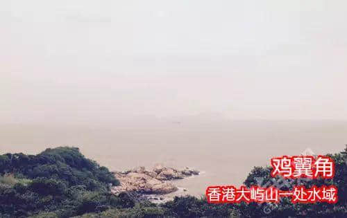 佛山新機(jī)場或命名為“珠西機(jī)場”？邊個(gè)起名咁“豬閪”！
