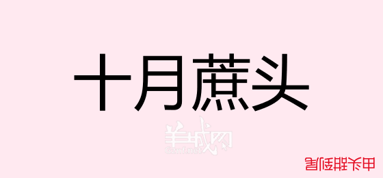 粵語問答比賽下半場(chǎng)，你夠唔夠生鬼幽默？！