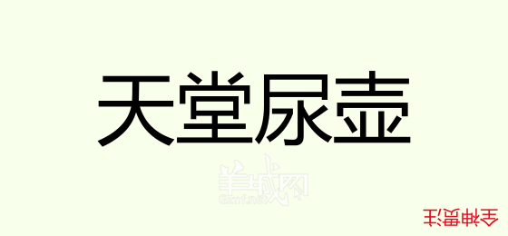 粵語問答比賽下半場(chǎng)，你夠唔夠生鬼幽默？！