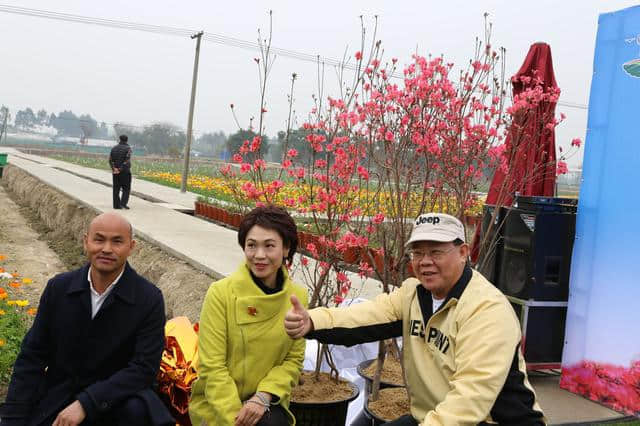 離廣佛最近的高山花海，情人節(jié)男朋友不帶你去就分手吧