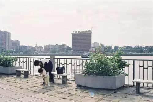 拆唔走嘅廣州舊記憶，這么近那么遠……