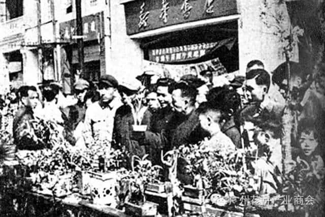 點解廣州人過年唔鐘意睇春晚？因為我哋鐘意行花街咯！