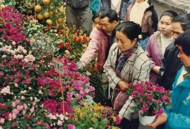 點解廣州人過年唔鐘意睇春晚？因為我哋鐘意行花街咯！