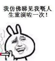 如果阿爸阿媽生咗第二個……