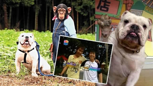 《阿笨與阿占》嘅阿占走咗，呢對(duì)童年CP你仲記得嗎？