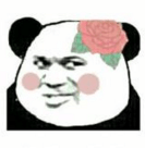 有啲粵語俗語，聽唔明仲以為你贊緊人！