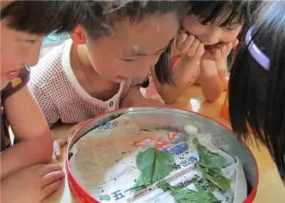 聽講上世紀(jì)出世嘅廣州人，都有呢啲人生經(jīng)歷！
