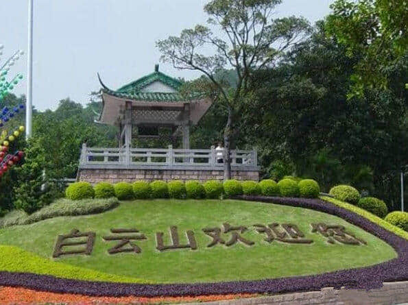 聽講上世紀(jì)出世嘅廣州人，都有呢啲人生經(jīng)歷！
