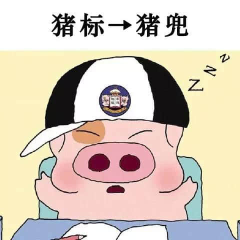 老餅粵語VS新興潮語，你覺得邊個到肉啲？