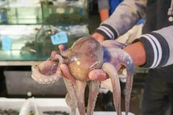 廣州人氣海鮮市場(chǎng)逐個(gè)數(shù)，識(shí)飲識(shí)食至巴閉！