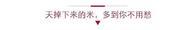 唔系我吹水，粵語(yǔ)真系好巴閉！系巴屎閉！