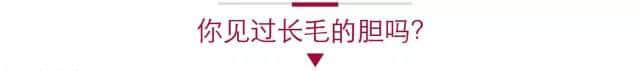 唔系我吹水，粵語(yǔ)真系好巴閉！系巴屎閉！