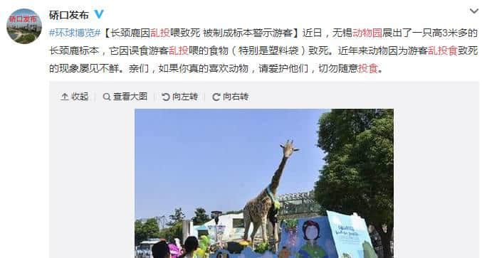 動物園游客不文明行為之最，呢種貌似“善意”嘅行為害死唔少動物！