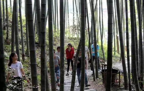 賣完空氣出刻字林，廣東清遠騎呢景區(qū)仲有乜做唔到？