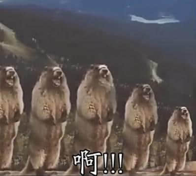 講咗十幾廿年粵語，呢啲語氣詞你都未必用得啱！
