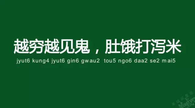 廣州老司機帶路，令你行少幾條彎路