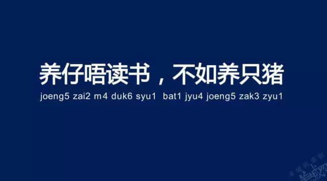 廣州老司機帶路，令你行少幾條彎路