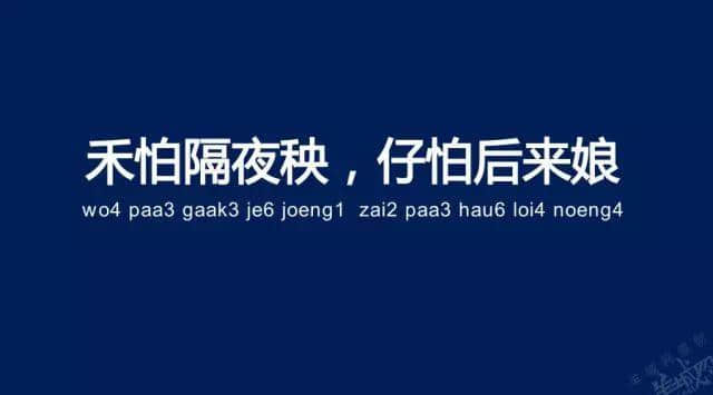 廣州老司機帶路，令你行少幾條彎路