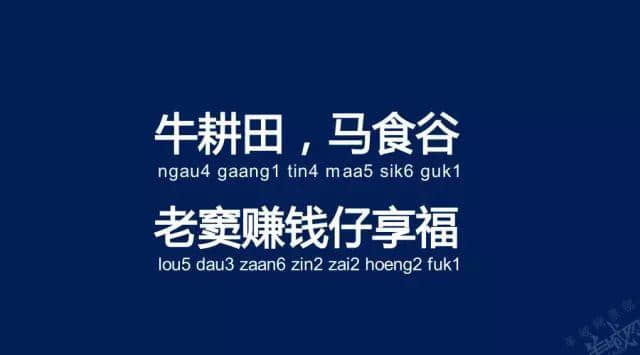 廣州老司機帶路，令你行少幾條彎路