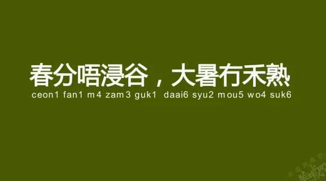 廣州老司機帶路，令你行少幾條彎路