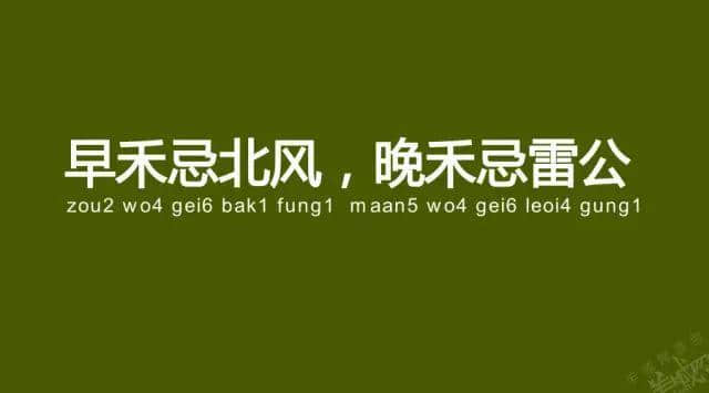 廣州老司機帶路，令你行少幾條彎路