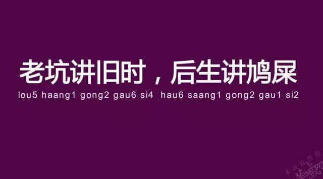 廣州老司機帶路，令你行少幾條彎路