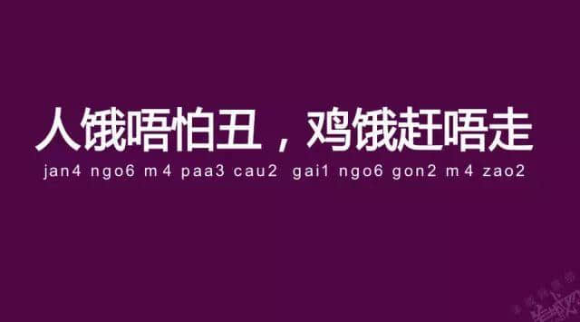 廣州老司機帶路，令你行少幾條彎路