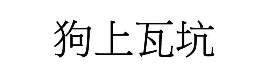 喺廣州，人“狗”冇藥醫(yī)！