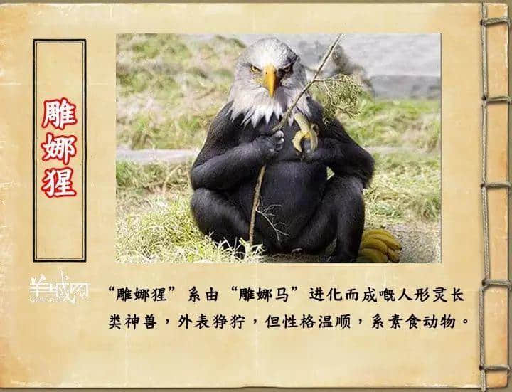 如果JK羅琳系廣州人，《神奇動物在哪里》至少出7集！