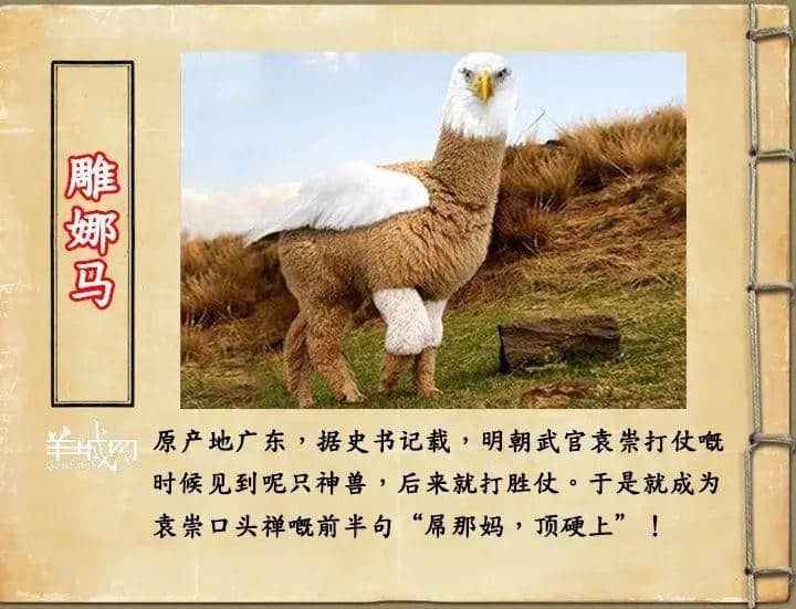 如果JK羅琳系廣州人，《神奇動物在哪里》至少出7集！