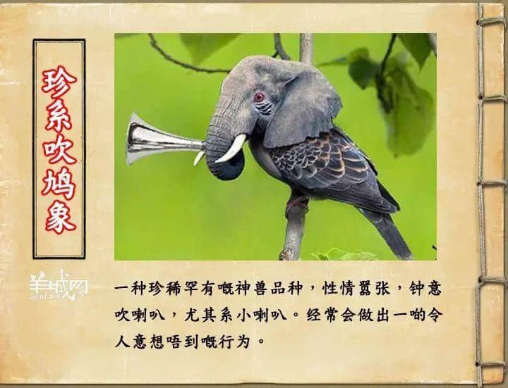 如果JK羅琳系廣州人，《神奇動物在哪里》至少出7集！