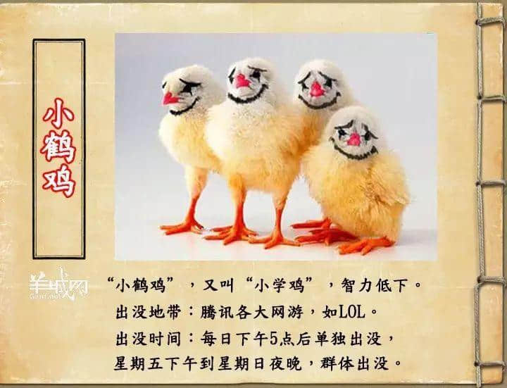 如果JK羅琳系廣州人，《神奇動物在哪里》至少出7集！