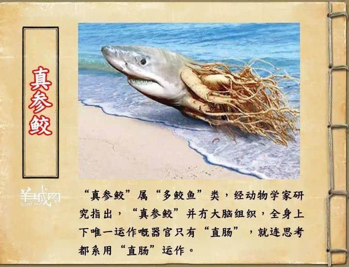 如果JK羅琳系廣州人，《神奇動物在哪里》至少出7集！