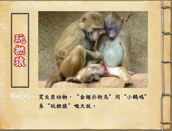 如果JK羅琳系廣州人，《神奇動物在哪里》至少出7集！