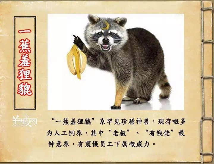 如果JK羅琳系廣州人，《神奇動物在哪里》至少出7集！