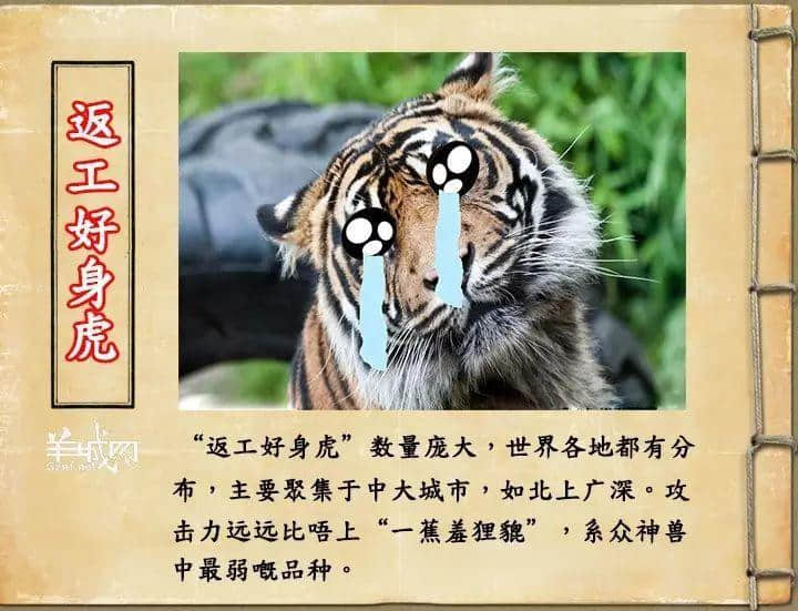 如果JK羅琳系廣州人，《神奇動物在哪里》至少出7集！