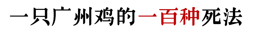 沒有一只雞能活著走出廣州