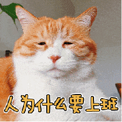 識用表情包，方為真咸魚