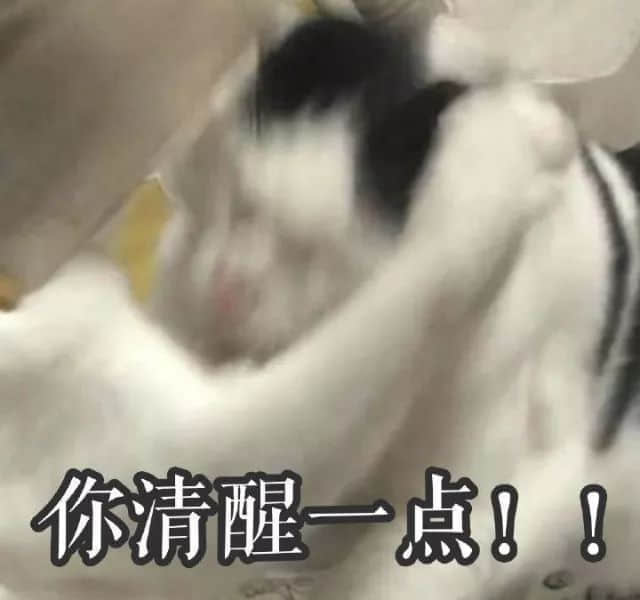 識用表情包，方為真咸魚