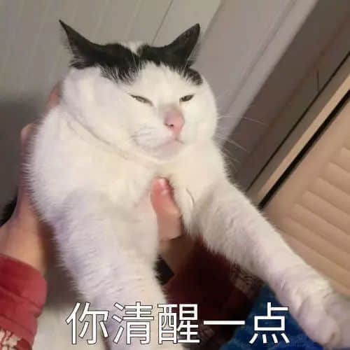 識用表情包，方為真咸魚
