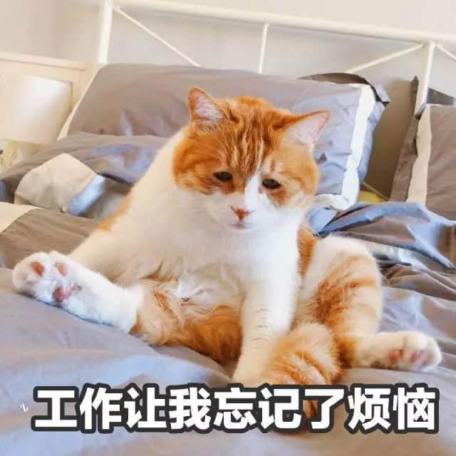 識用表情包，方為真咸魚