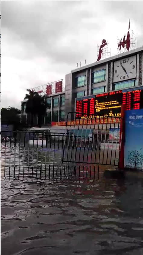 我們實(shí)名要求將今日定為“廣州海洋日”