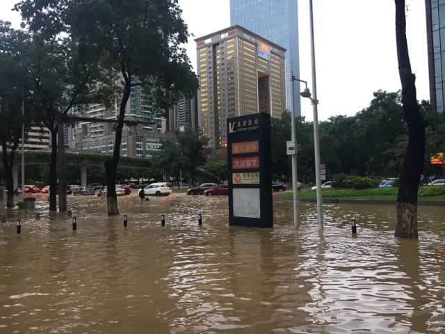 我們實(shí)名要求將今日定為“廣州海洋日”