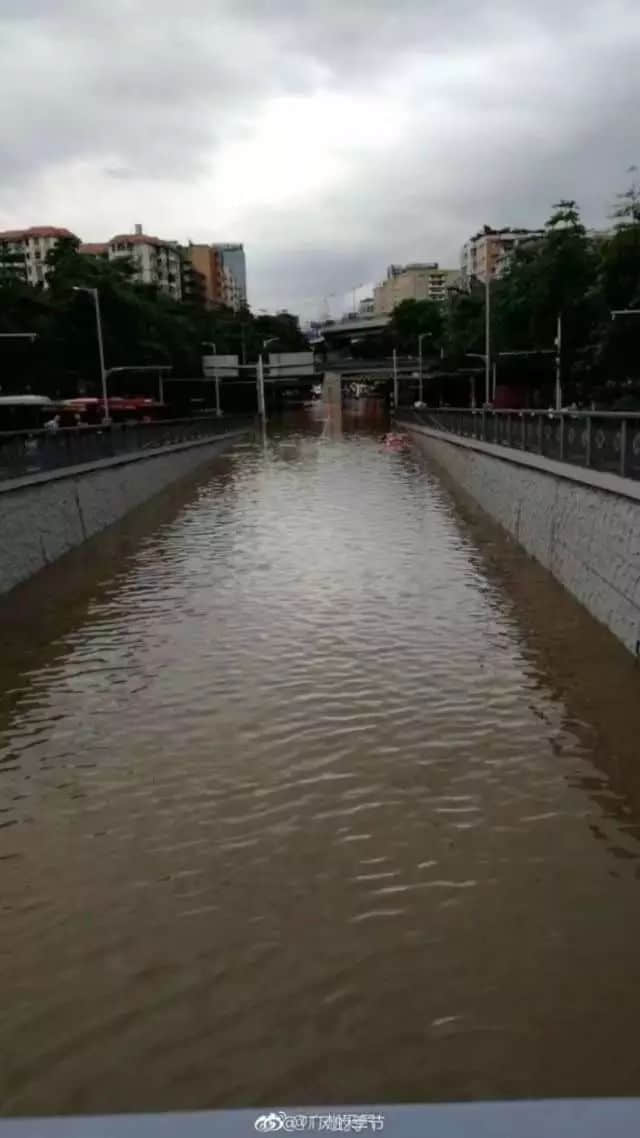 我們實(shí)名要求將今日定為“廣州海洋日”