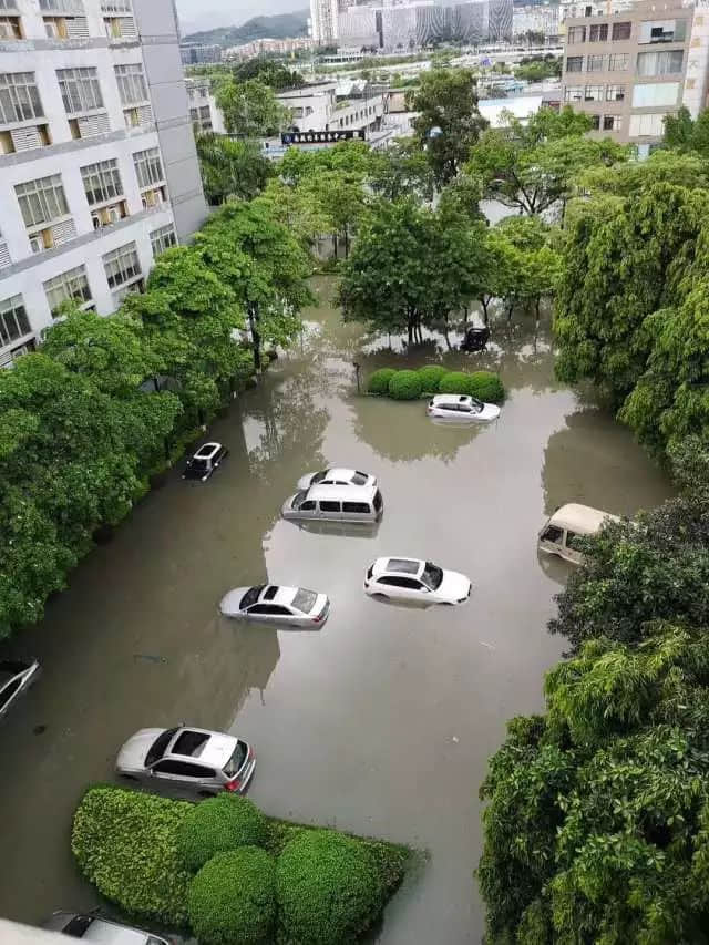 我們實(shí)名要求將今日定為“廣州海洋日”