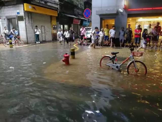 我們實(shí)名要求將今日定為“廣州海洋日”